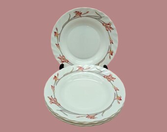 Lot De 6 Assiettes Creuses Arcopal Opaline - Décor Roses - Vintage - Occasion Bon état