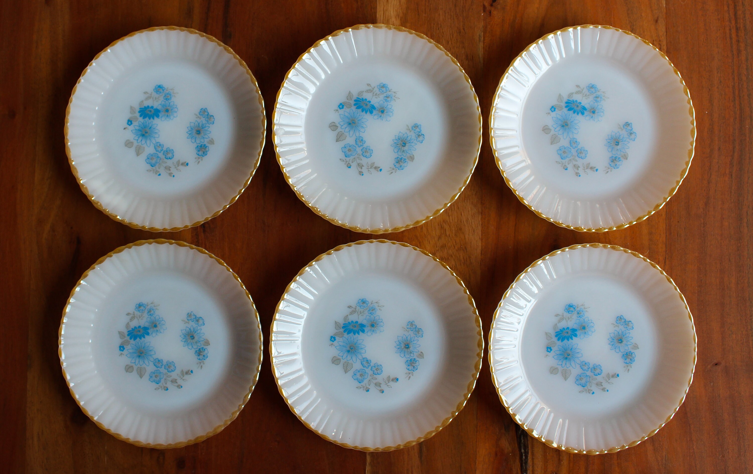 6 Assiettes Dessert Termocrisa en Opaline Blanche Décorées Fleurs Mexique