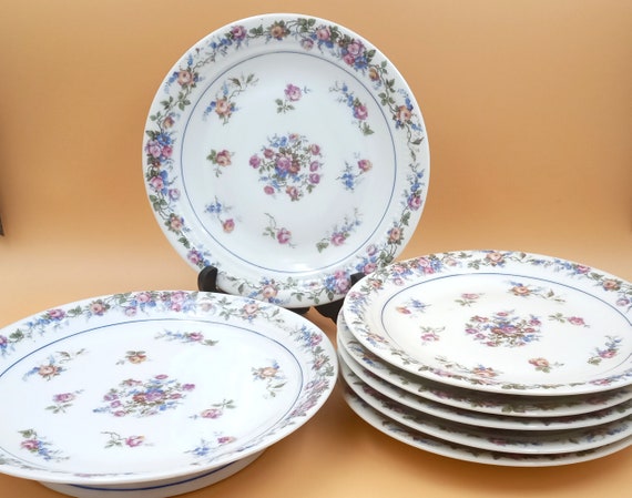 DISH and dessert plates in porcelain with vintage multi-colored flower pattern NL Limoges porcelain
