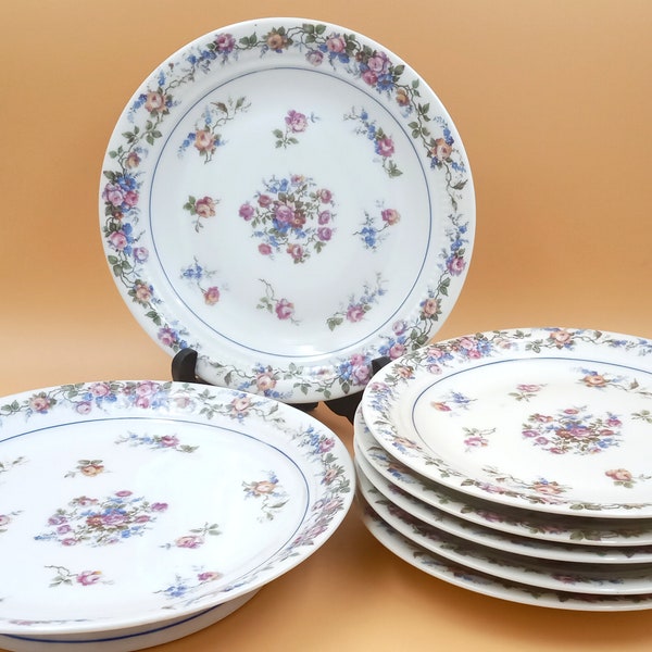 PLAT et ASSIETTES dessert en porcelaine motif fleurs multicolores vintage NL porcelaine Limoges