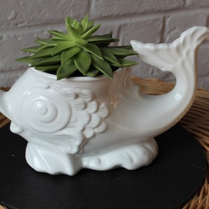 Può includere: Una fioriera bianca a forma di pesce in ceramica con una pianta succulenta. La fioriera ha un design dettagliato con squame e una coda. La succulenta ha foglie verdi. La fioriera è su una superficie nera, con un cesto di vimini e un muro di mattoni bianchi sullo sfondo.