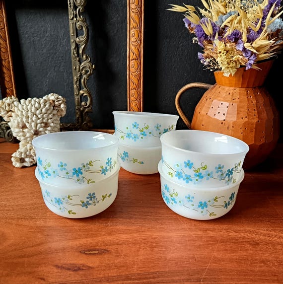 6 Arcopal vintage Veronica pattern ramekins