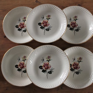 6 hollow PLATES in Gien France Porcelain, sultana model, Vintage, floral decor