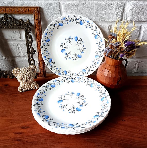 6 opaline glass plates with blue floral pattern