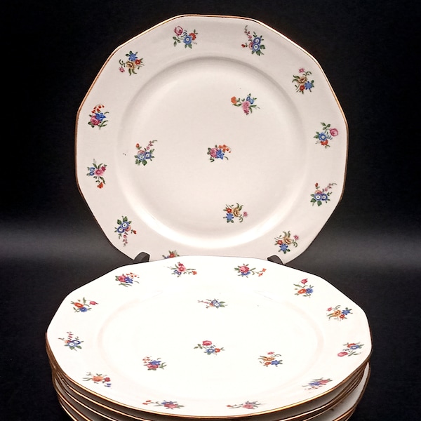 6 ASSIETTES plates en porcelaine motif fleurs multicolores vintage, Masset & Surget Berry France