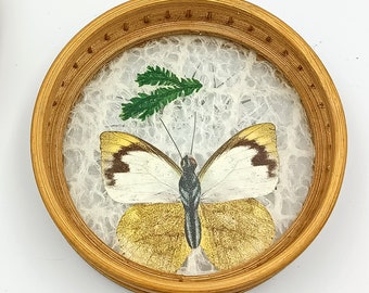 Dessous de verre en rotin et papillon