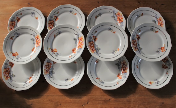 12 flat porcelain PLATES with orange and gray nasturtium pattern
