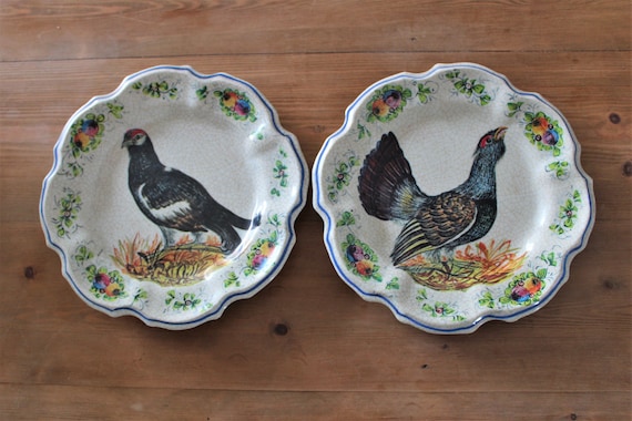2 decorative PLATES in vintage melamine, bird decor, made in Italy