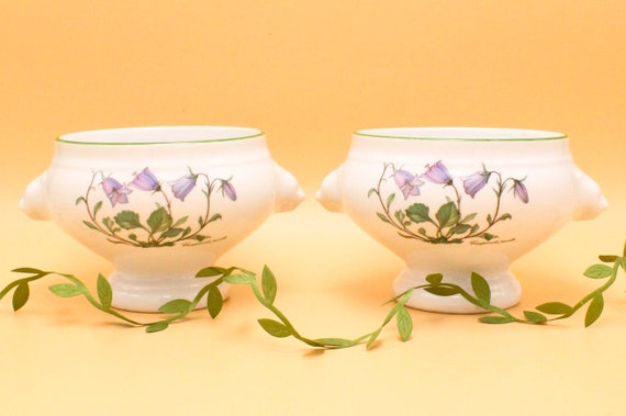 Duo BOLS porcelain Seltmann Weiden Germany vintage, 1960