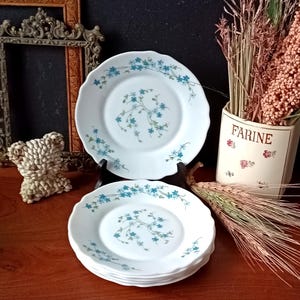 6 platos de postre franceses de opalina Arcopal con motivo de nomeolvides