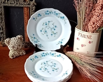 6 ASSIETTES PLATES fleurs buisson de roses ARCOPAL 150223 Blanc Céramique Floral,Végétal - Vendu