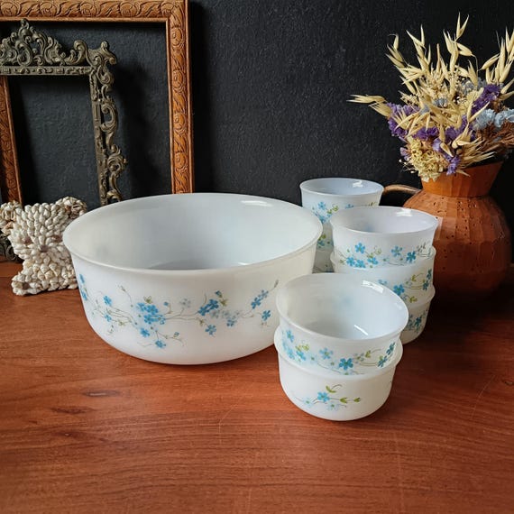 Dessert service: 8 ramekins and one vintage Arcopal dish with Aster pattern