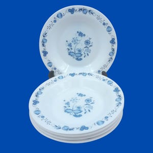 6 arcopal hollow plates in white opaline decorated ASTER model