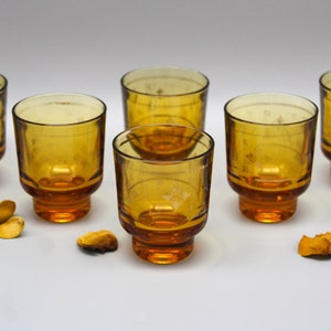 6 amber yellow liqueur GLASSES thick glass