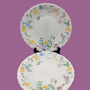 6 Arcopal France opaline flat plates
