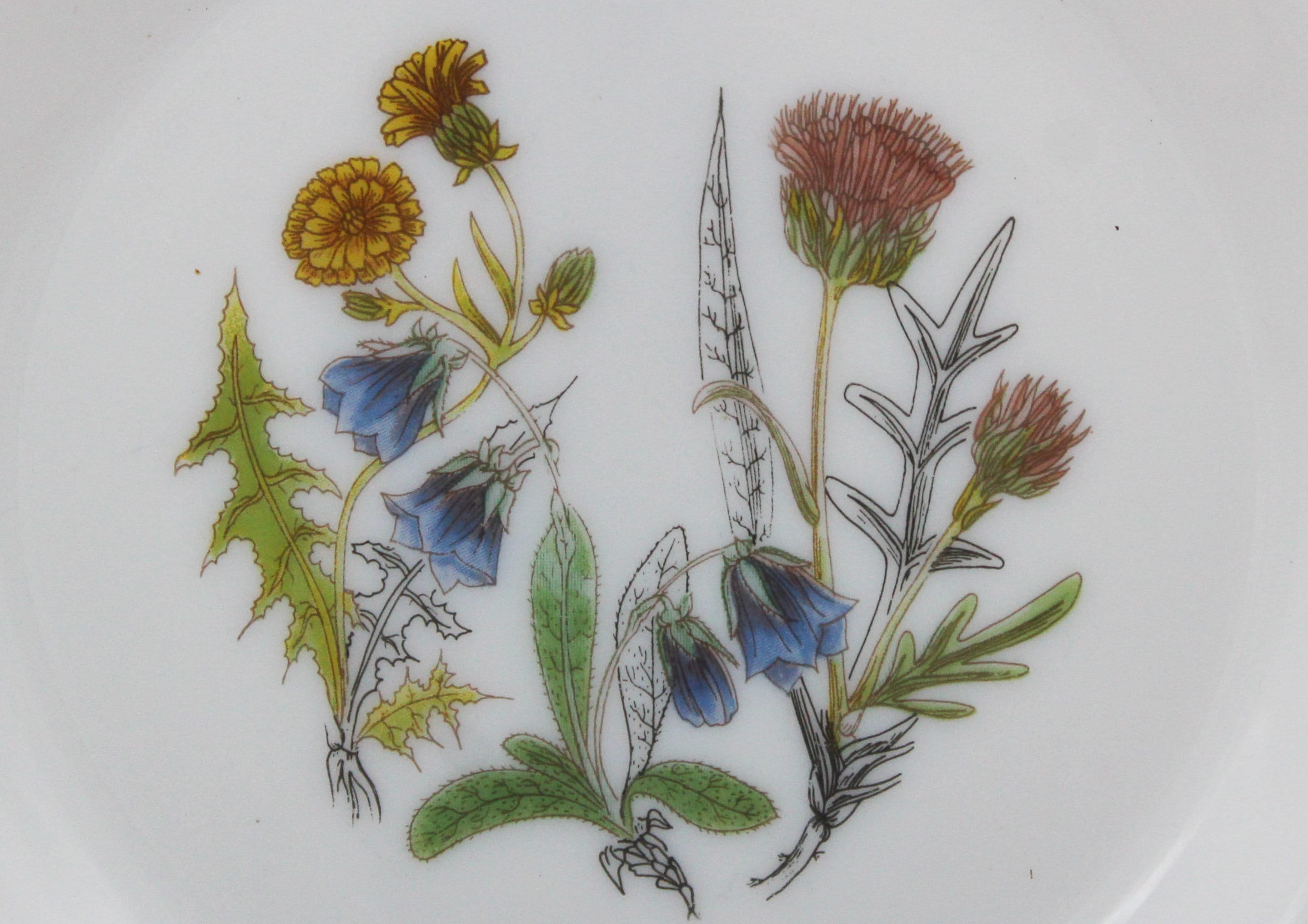 Lot De 6 Assiettes à Dessert Arcopal - Opaline Fleurs Narcisse - Cristal D'Arques 23cm