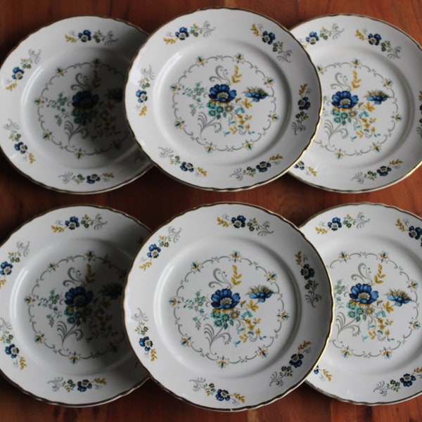 6 ASSIETTES plates porcelaine motif fleuri Modèle "Chaillot" vintage