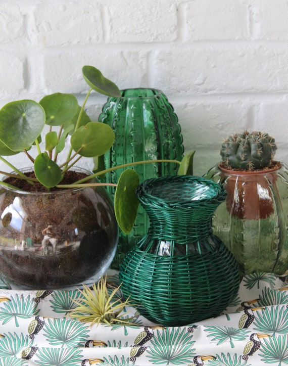 GLASS VASE surrounded by colorful rattan, rattan vase with glass interior for boho decoration