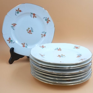 9 vintage multicolor flower pattern porcelain dessert plates, Epiag czechoslovakia