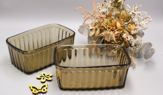 Two Arcopal DISHES / DISHES in smoked glass