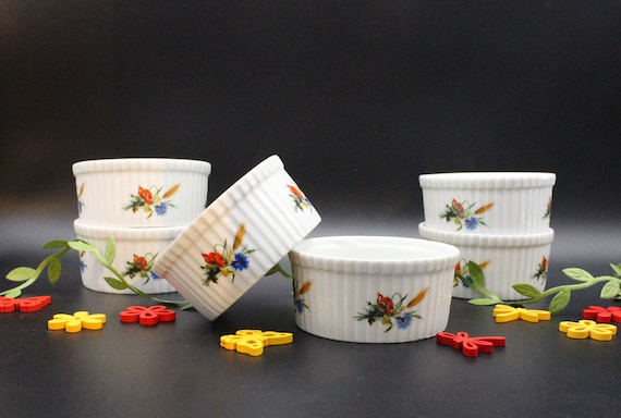6 Ramequins Apilco vintage porcelain flower of the fields