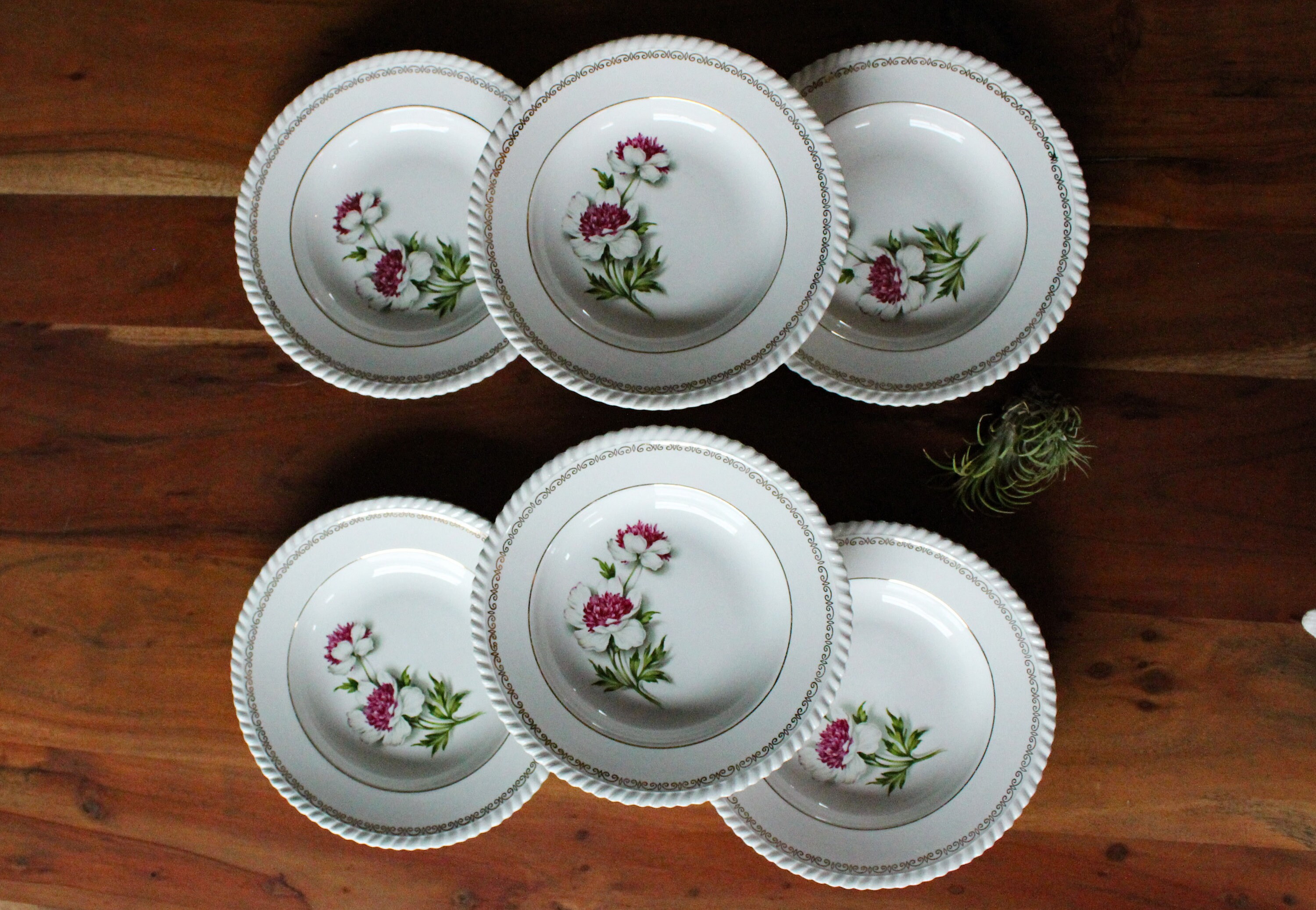 6 Assiettes Creuses Françaises Vintage Motif Pivoines Permacal, Vintage