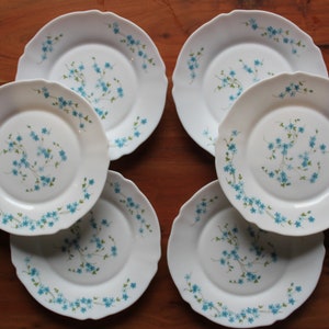 6 Arcopal French opaline dessert plates with forget-me-not motif