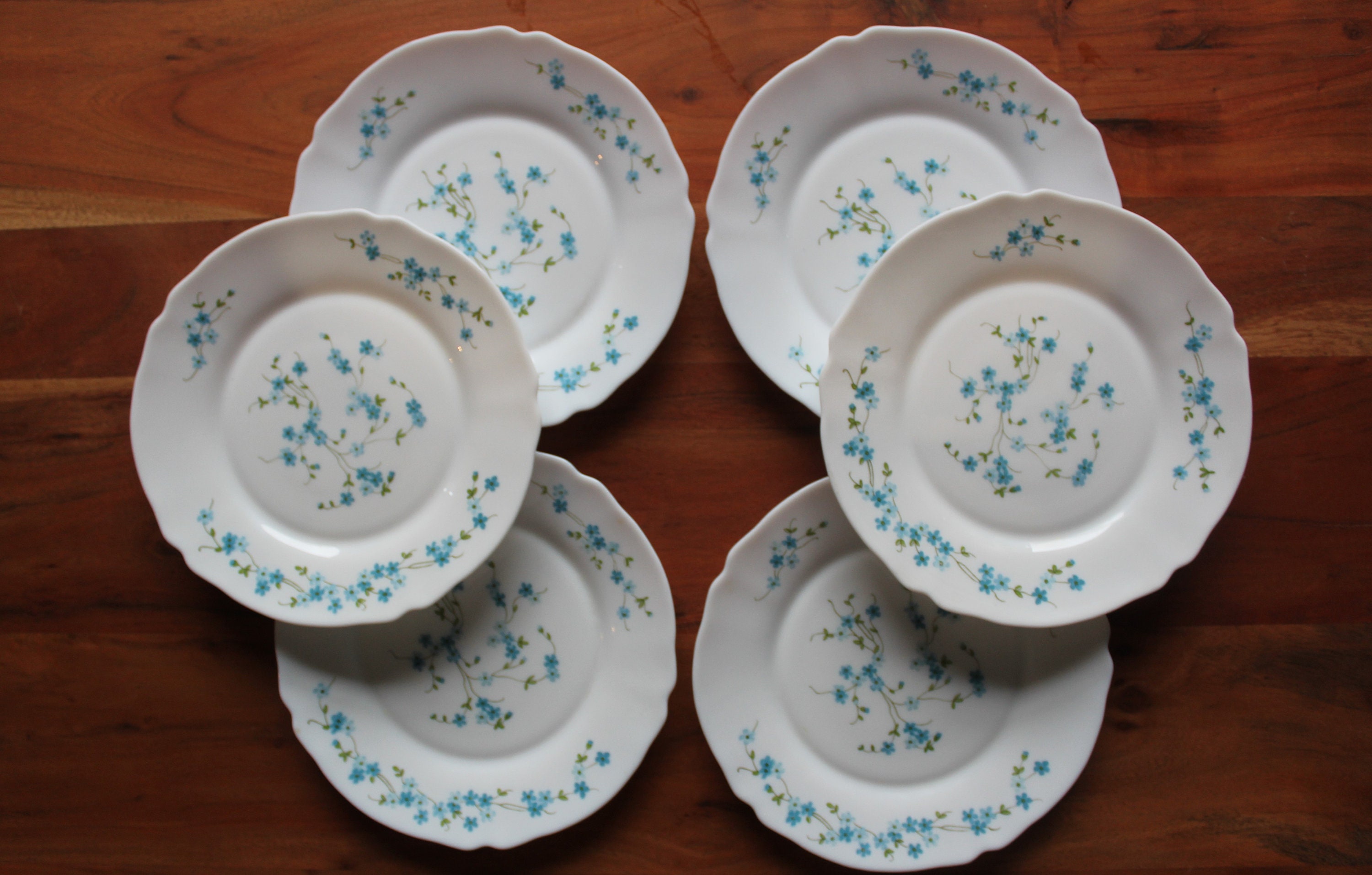 LOT 6 ASSIETTES ARCOPAL CHAMPÊTRE