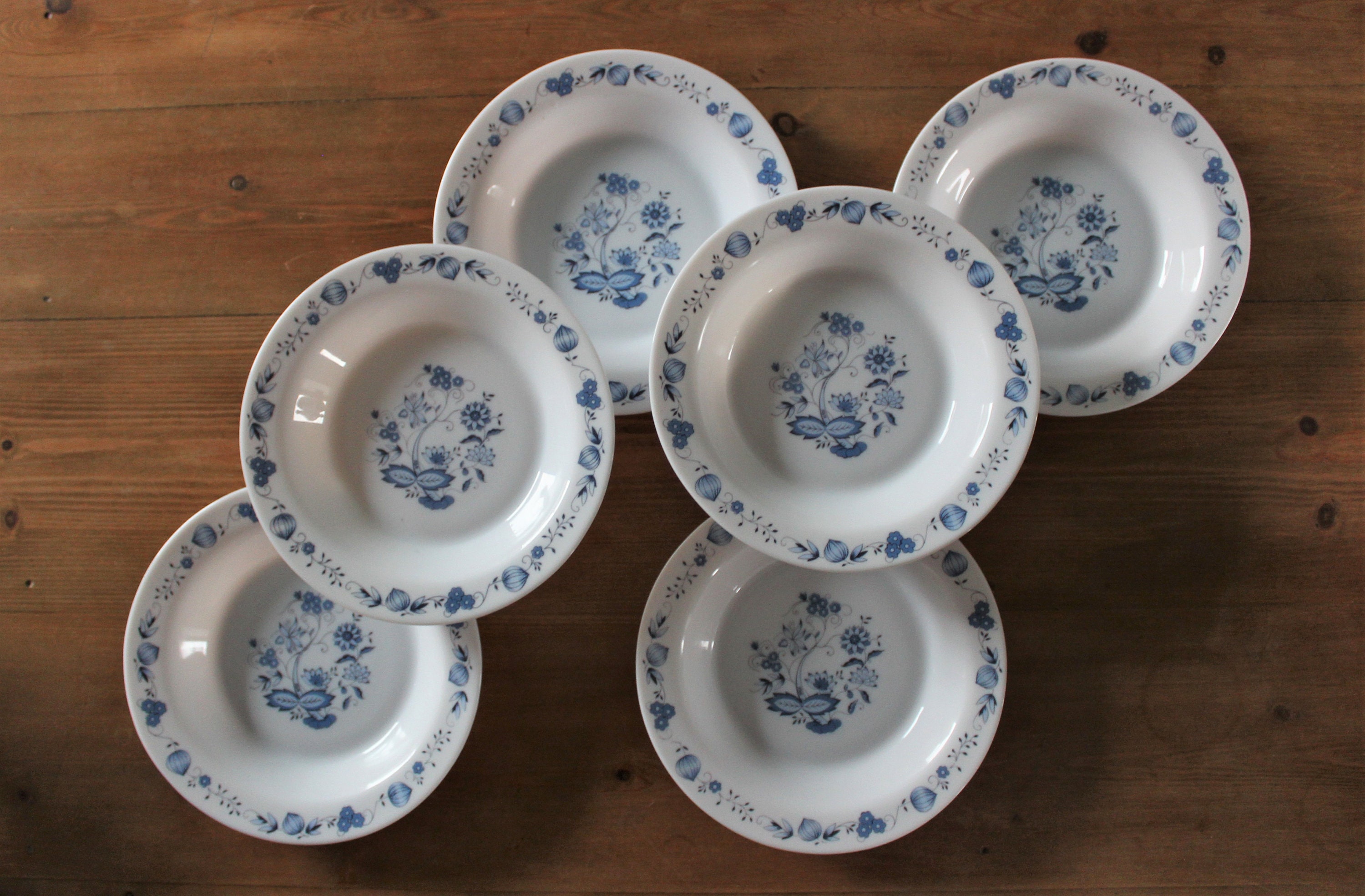 6 Assiettes Creuses Arcopal en Opaline Blanche Décorée Modèle Oignon Bleu