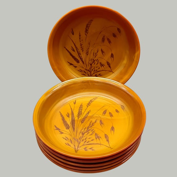 6 "ARCOPAL VOLCAN" soup plates, Arcopal plate, Vintage 70s, France