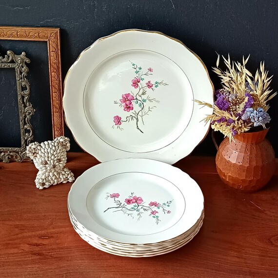 Platter and 6 flat plates, Salins France earthenware