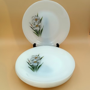 Könnte beinhalten: Ein Set aus vier weißen Keramik-Dinnertellern mit einem Blumendesign mit weißen Narzissen mit gelben Zentren und grünen Blättern.