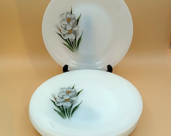 Lot De 6 Assiettes à Dessert Narcisse – Opaline Arcopal – Cristal D’Arques – 19 Cm