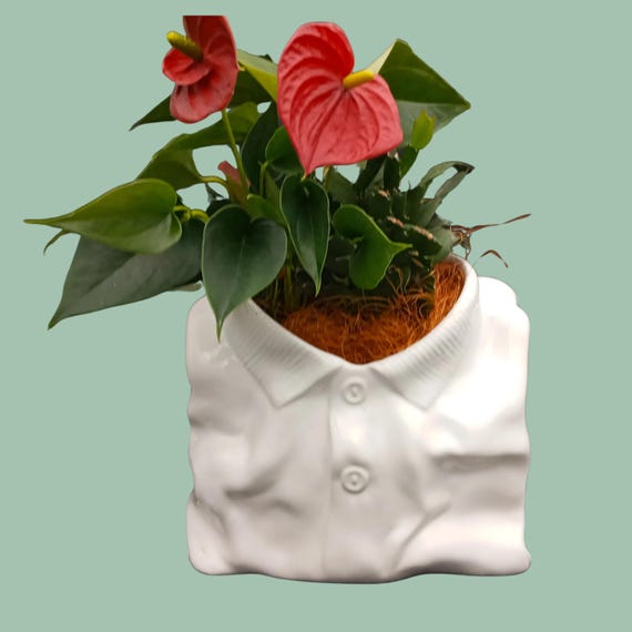 Vintage white ceramic plant pot, crumpled shirt