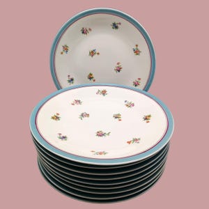 8 ASSIETTES plates en porcelaine motif fleurs multicolores vintage, France