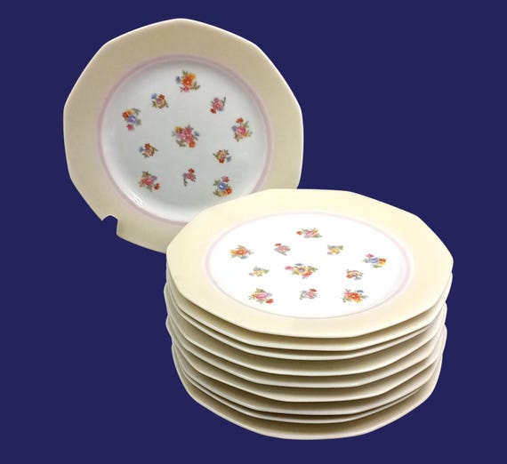 10 vintage multicolor flower pattern porcelain dessert plates, PL France
