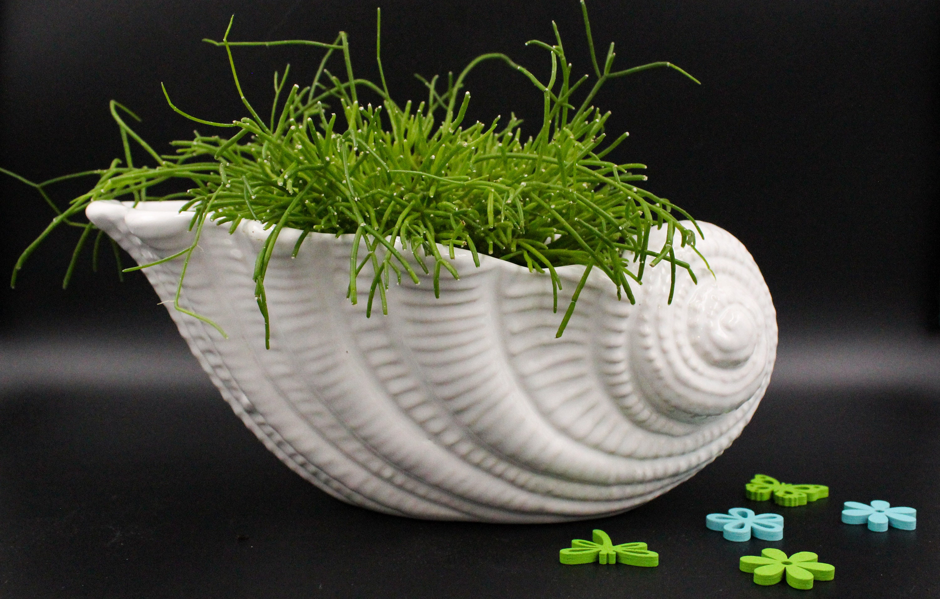 Cache Pot Coquillage Vintage Blanc, Porte Plante en Céramique, France