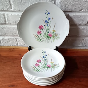 Dessert set 6 plates and vintage floral dish, PMR Bavaria Germany