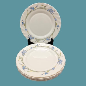 Puede incluir: Un juego de seis platos de cena de cerámica blanca con un diseño floral azul y verde. Los platos tienen un borde festoneado y están apilados uno encima del otro.