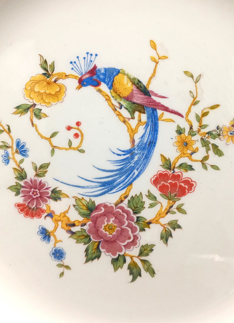 6 ASSIETTES plates françaises vintage, porcelaine Céranord Saint-Amand, Phoenix sur une branche fleurie image 4