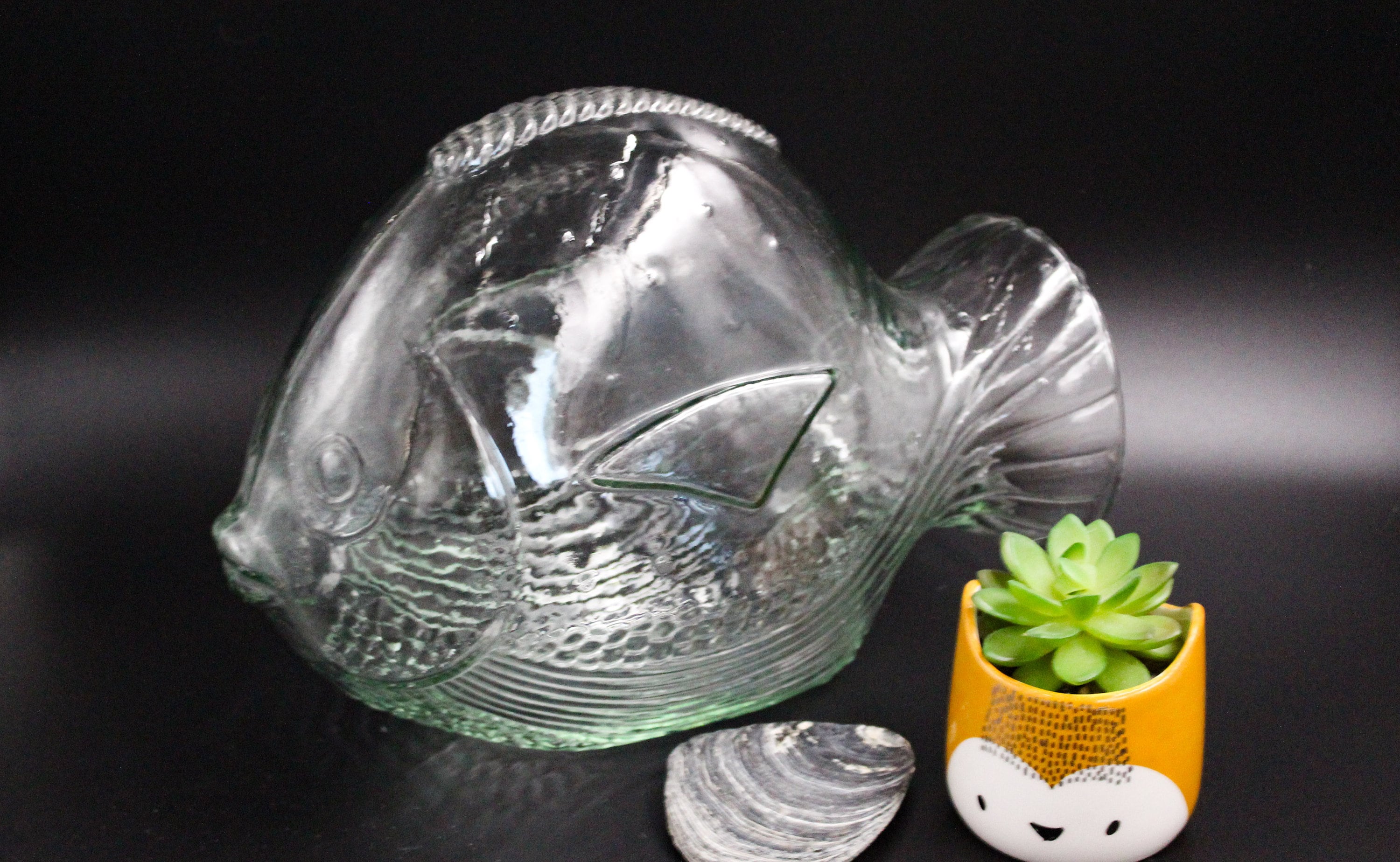 Poisson Bonbonne en Verre Transparent Vintage, Bocal, Terrarium