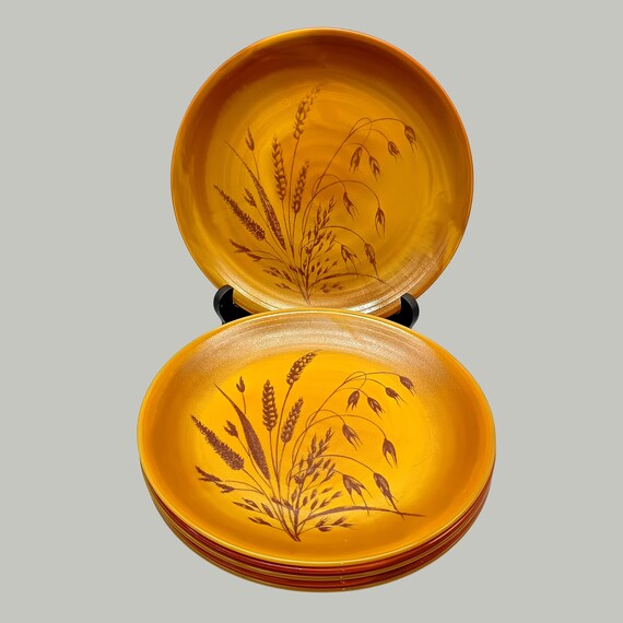 6 "ARCOPAL VOLCAN" flat PLATES Arcopal Vintage 70's plate, France