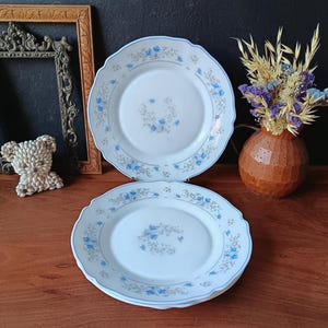 Assiette Ancienne Delft – Bleue, Décor Floral, Pied Douche – Faïence Française