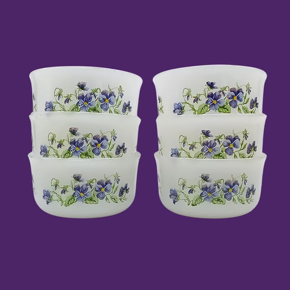 6 vintage arcopal RAMEQUINS ASTER pattern