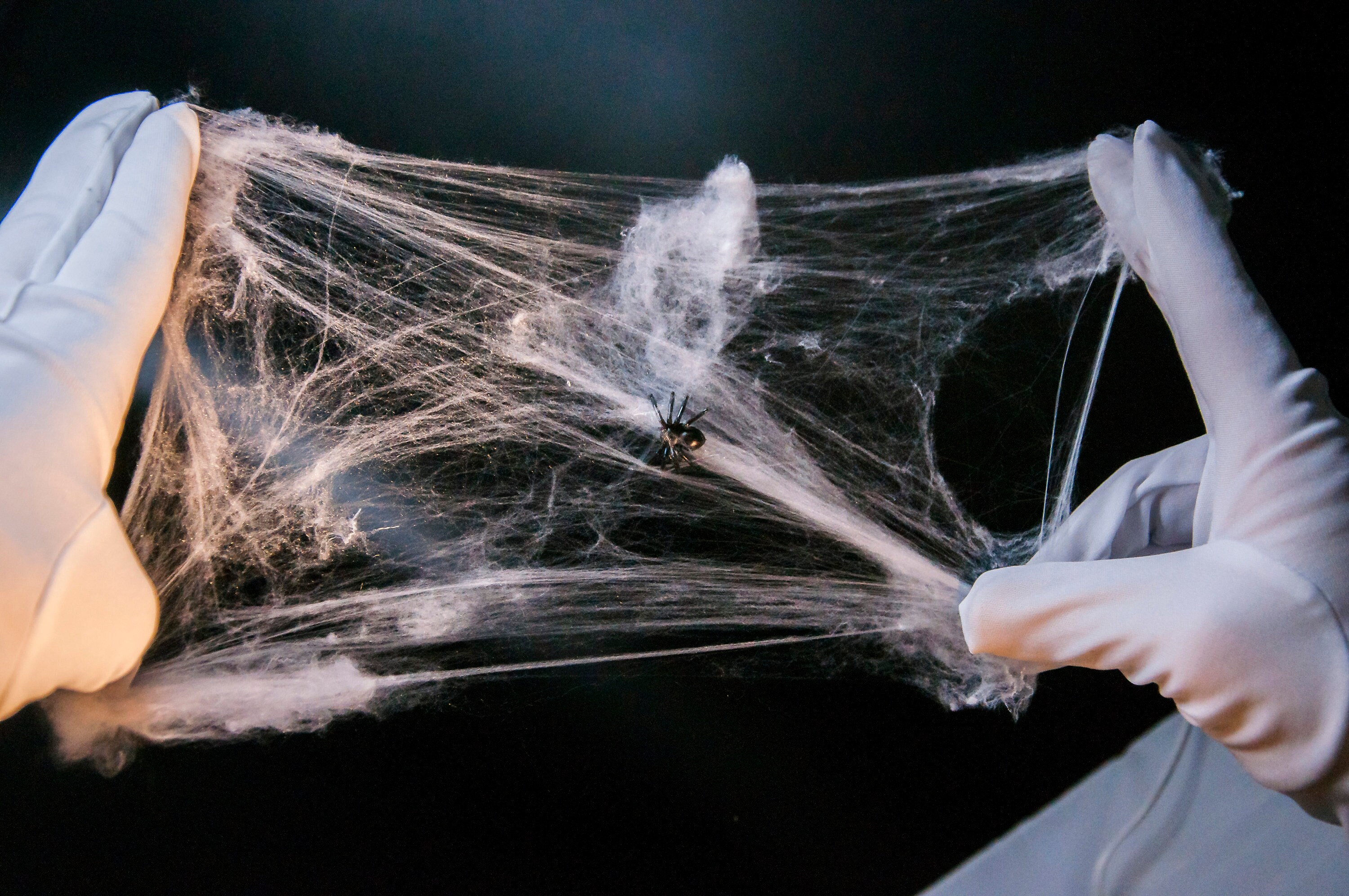 Spider Web Miniature Halloween. Cobwebs scary dollhouse spooky Etsy