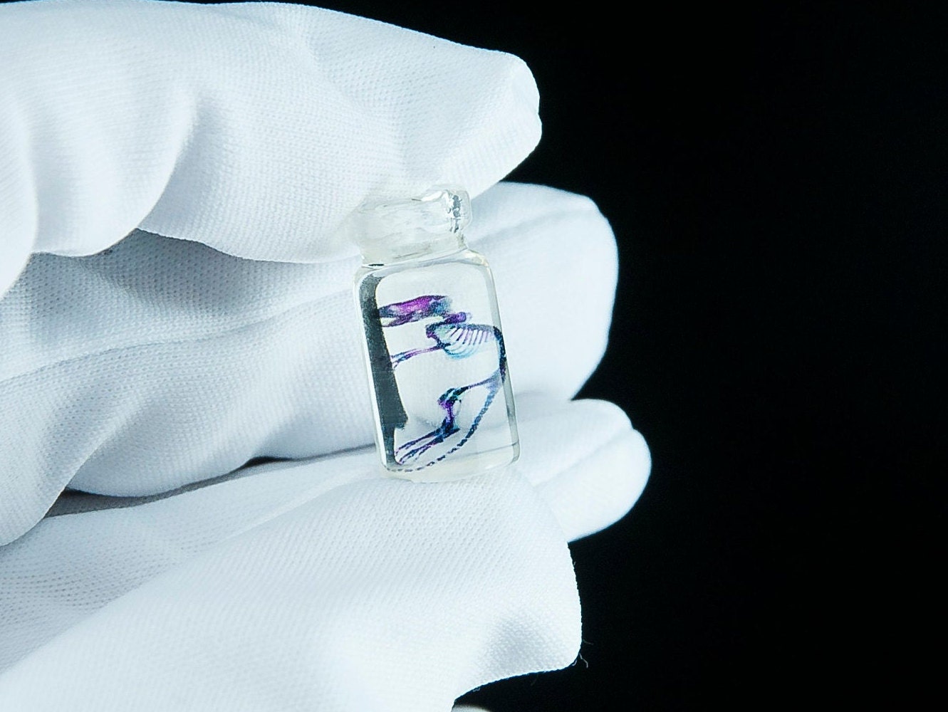Diaphonized rat ribbets imitation, printed picture inside a jar. spec…