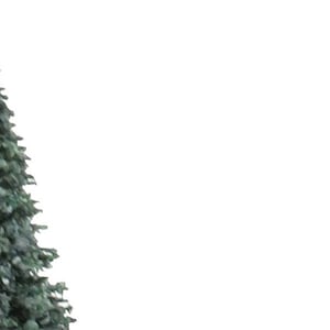 Dolls House 8&quot;  Spruce Evergreen Tree Miniature Christmas Garden Scene Accessory