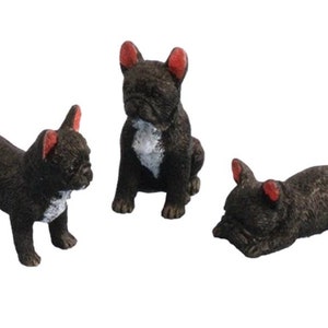 Dockhus Fransk bulldogg Svarta hundar Stående Sittande Liggande Miniatyrdjur