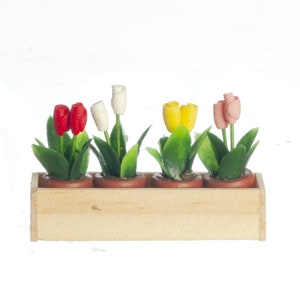 Può includere: Quattro piante in vaso con fiori colorati in una fioriera di legno. I fiori sono rossi, bianchi, gialli e rosa.