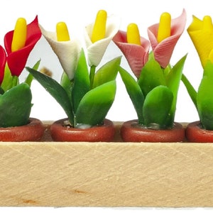 Könnte beinhalten: Ein Holz-Pflanzgefäß mit sechs Topfpflanzen. Die Pflanzen haben grüne Blätter und bunte Blüten. Die Blüten sind rot, weiß, rosa und gelb.